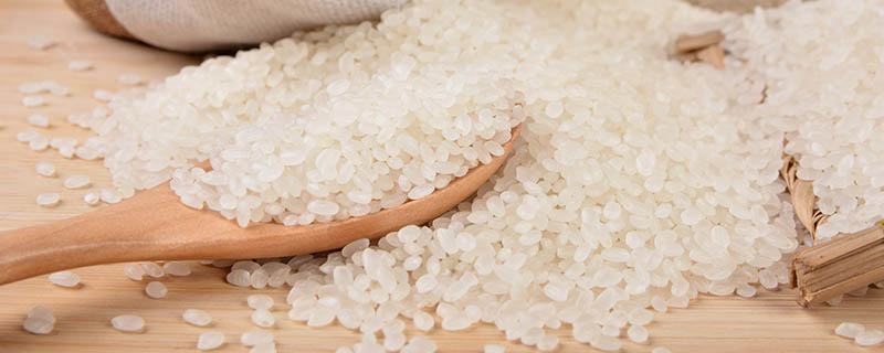 夏季米面怎么防虫 夏天怎么防止米面生虫