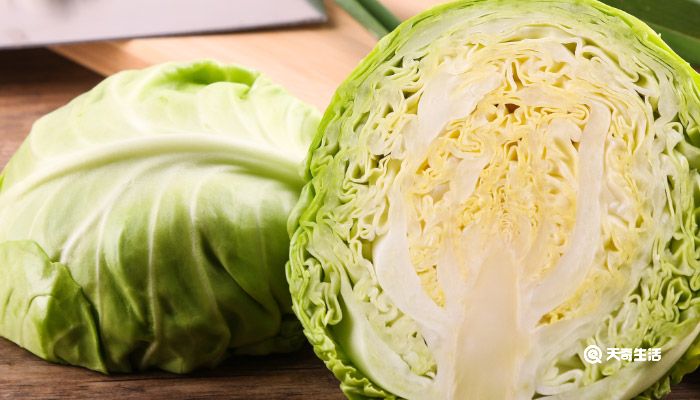 绿甘蓝和圆白菜的区别