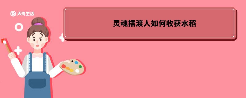 灵魂摆渡人如何收获水稻