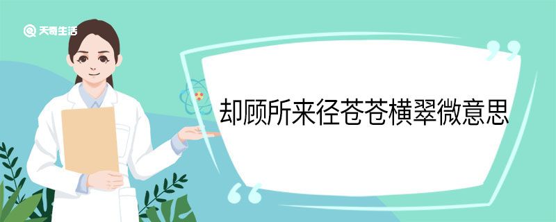 却顾所来径苍苍横翠微意思