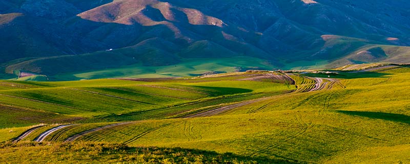 新疆旅游攻略 新疆的旅游景点