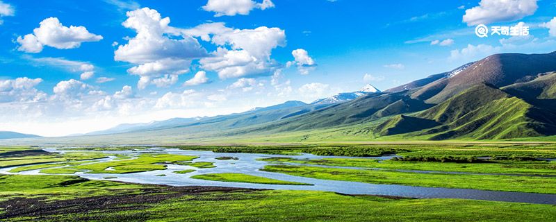 新疆海拔多少米