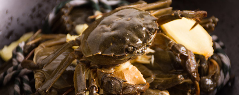 螃蟹蒸多长时间最好吃