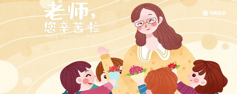 教师节送老师什么花