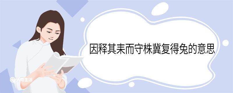 因释其耒而守株冀复得兔的意思