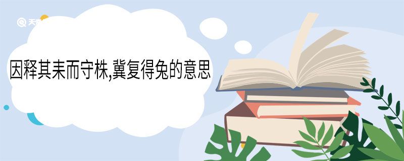 因释其耒而守株,冀复得兔的意思