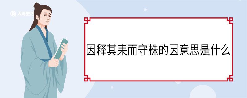 因釋其耒而守株的因意思是什么