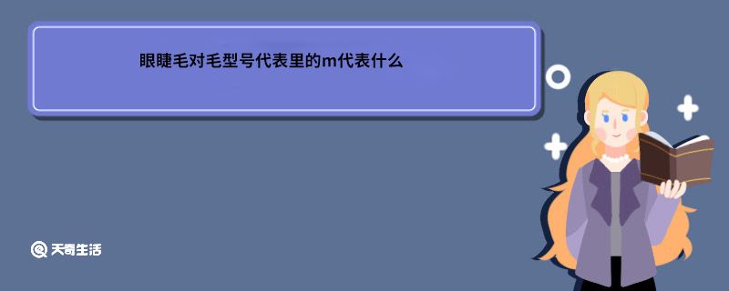 眼睫毛对毛型号代表里的m代表什么
