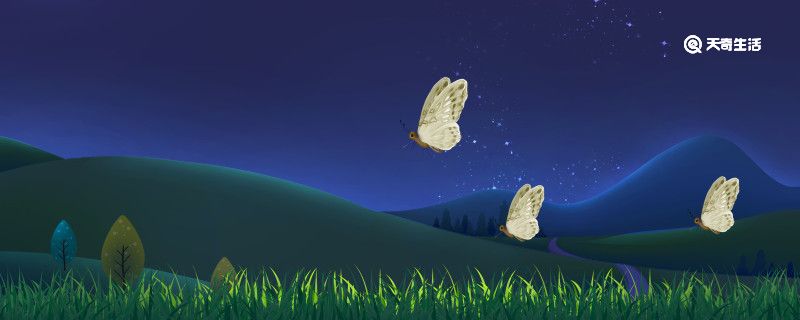 飞蛾是益虫还是害虫