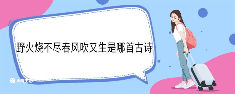 野火烧不尽春风吹又生是哪首古诗