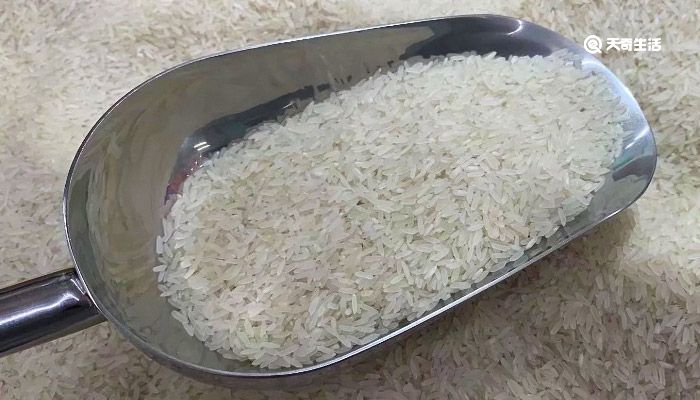 蒸糙米饭需要放多少水