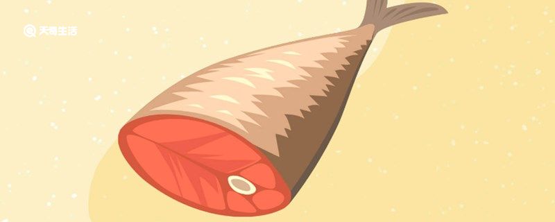 秋刀鱼是鲅鱼吗
