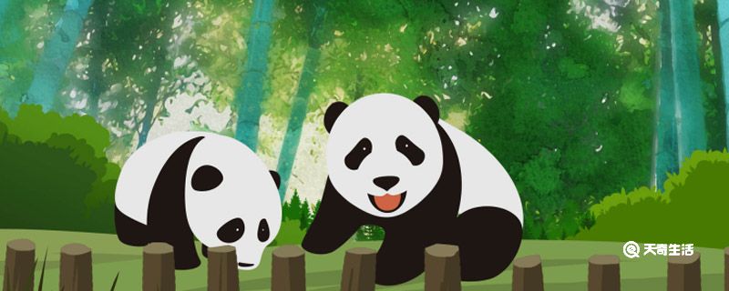 国宝大熊猫有哪些类别