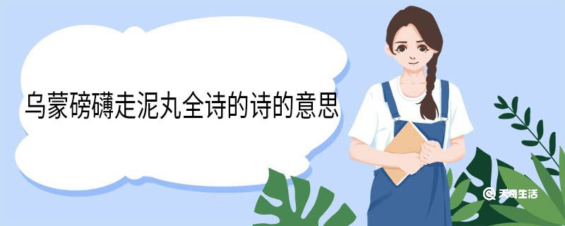 烏蒙磅礴走泥丸全詩(shī)的詩(shī)的意思