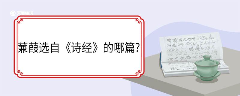 蒹葭选自《诗经》的哪篇?