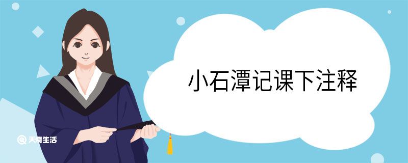 小石潭记课下注释