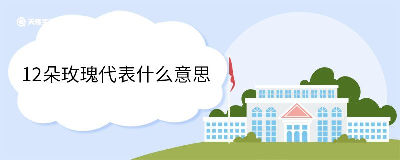 12朵玫瑰代表什么意思