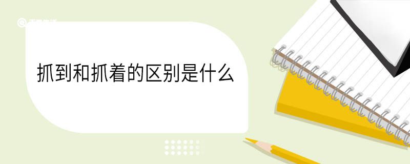 抓到和抓着的区别是什么