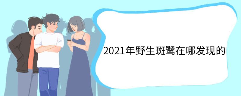 2021年野生斑鹭在哪发现的