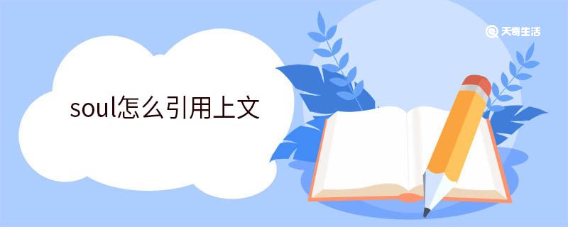 soul怎么引用上文