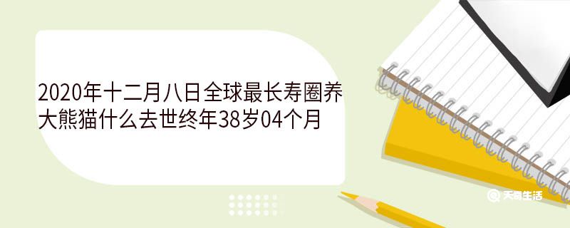 2020年十二月八日全球最長壽圈養(yǎng)大熊貓什么去世終年38歲04個月