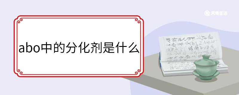 abo中的分化剂是什么