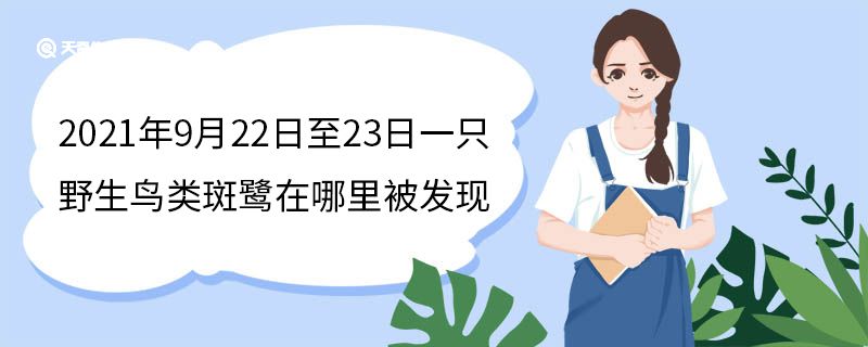 2021年9月22日至23日一只野生鳥類斑鷺在哪里被發(fā)現(xiàn)