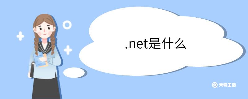 .net是什么