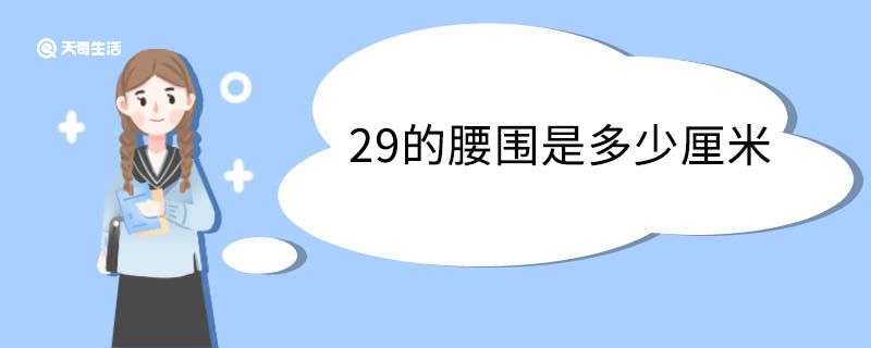 29的腰围是多少厘米