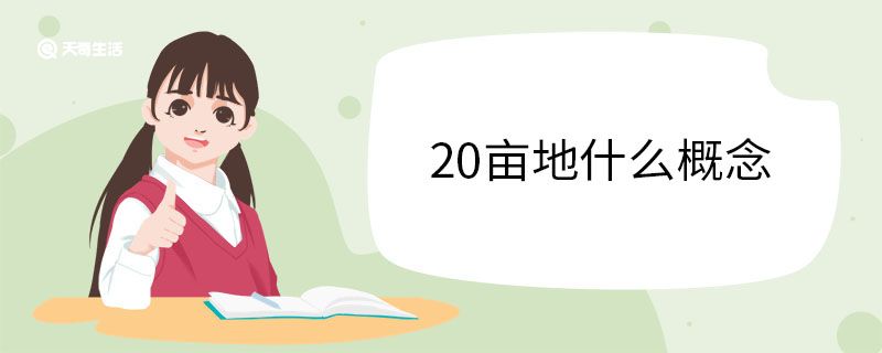 20亩地什么概念