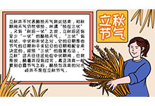 立秋节气手抄报 立秋节气手抄报怎么画