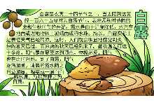 白露手抄报 白露手抄报的画法