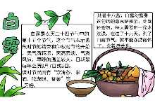 白露手抄报 白露手抄报的画法