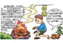 白露手抄报 白露手抄报的画法