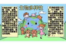 生物多样性手抄报图片 生物多样性手抄报怎么画