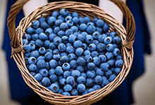蓝莓的功效与作用 蓝莓有什么功效