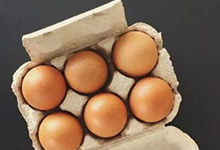 鸽子蛋与鸡蛋的营养有什么不同