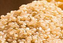 糙米的功效与作用 糙米的功效与作用吃法