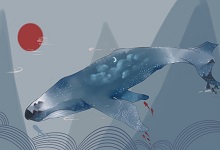 北冥有鱼借鲲鹏的寓言说明了什么道理 北冥有鱼的寓意说明了什么道理