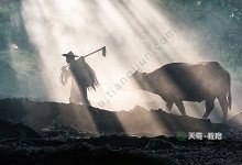 也傍桑阴学种瓜的上一句