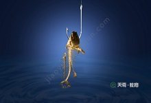 鲁人有好钓者文言文翻译