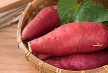 地瓜和红薯的区别 地瓜和红薯有什么区别
