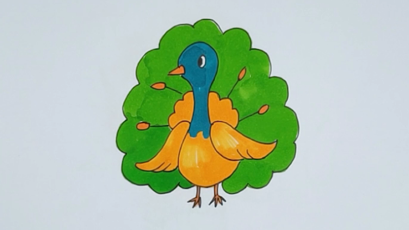 孔雀簡筆畫