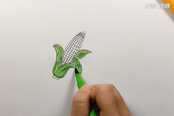 玉米的简笔画