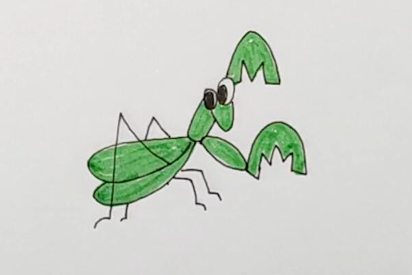 螳螂简笔画