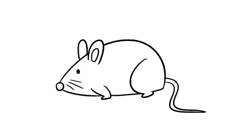 老鼠涂色画