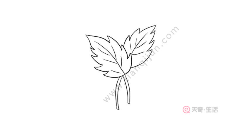 叶子简笔画