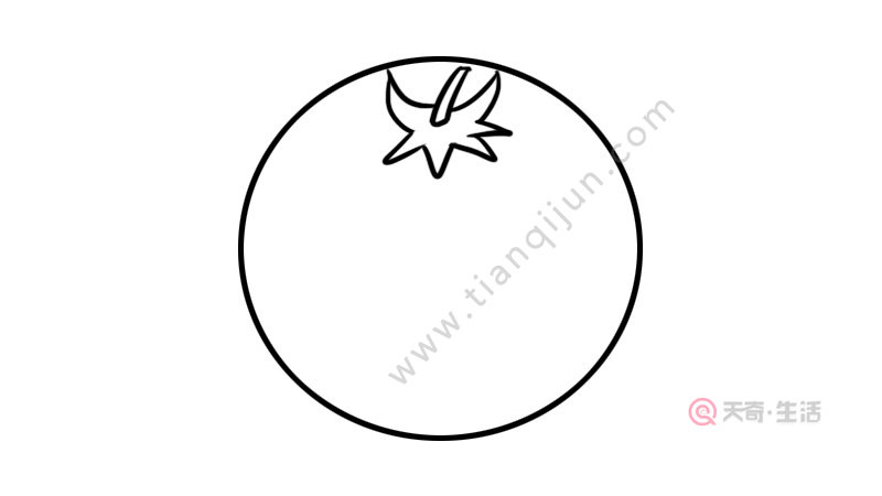 西红柿简笔画