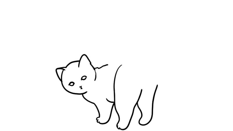 小公猫简笔画