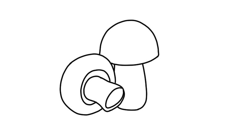 蘑菇植物简笔画